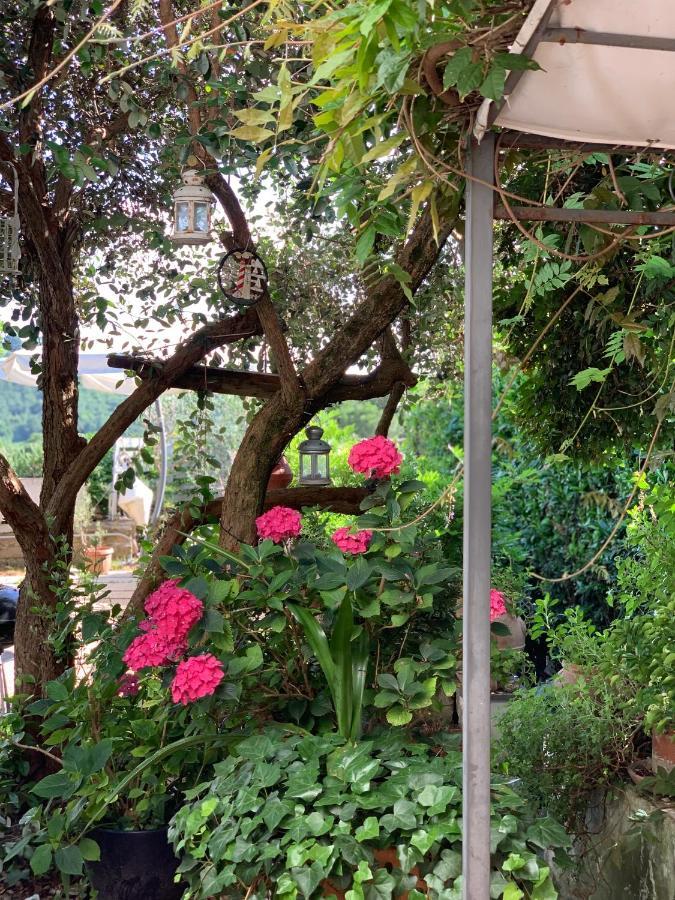 Appartamento Il Cenacolo Di Sissi Campagnano Di Roma Esterno foto