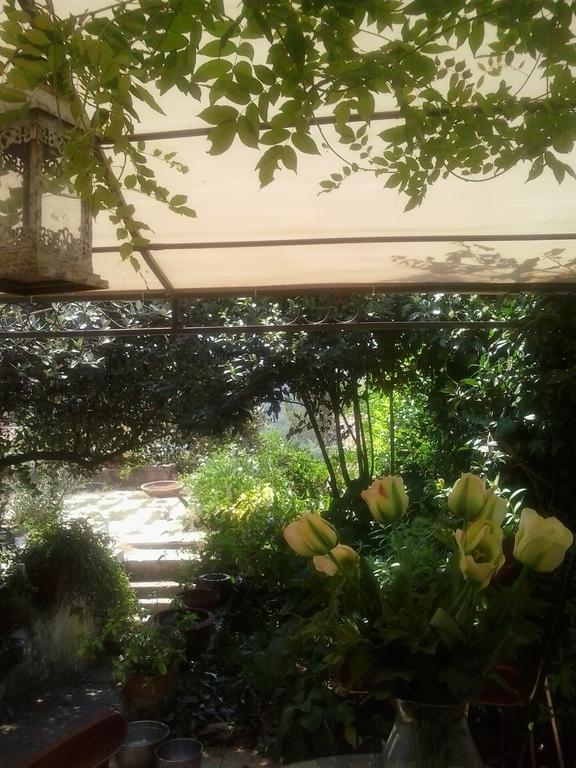 Appartamento Il Cenacolo Di Sissi Campagnano Di Roma Esterno foto