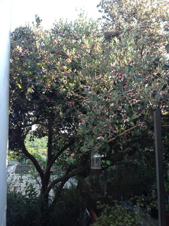 Appartamento Il Cenacolo Di Sissi Campagnano Di Roma Esterno foto