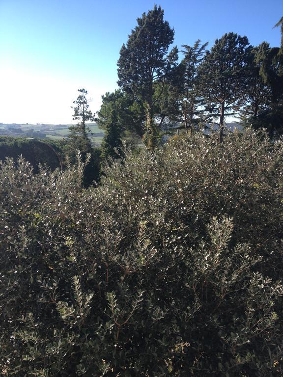 Appartamento Il Cenacolo Di Sissi Campagnano Di Roma Esterno foto